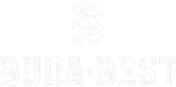 light logo